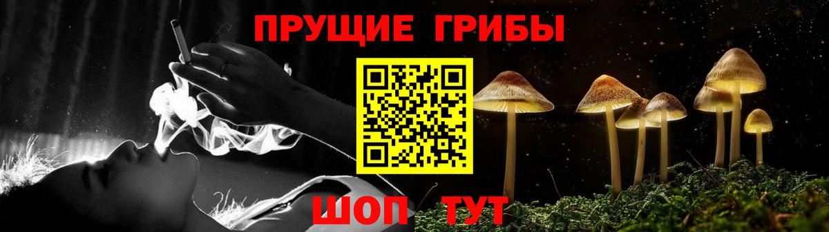 наркота  Вход с VPN  Псилоцибиновые грибы Magic Shrooms  Шарыпово  Псилоцибиновые грибы Psilocybe 